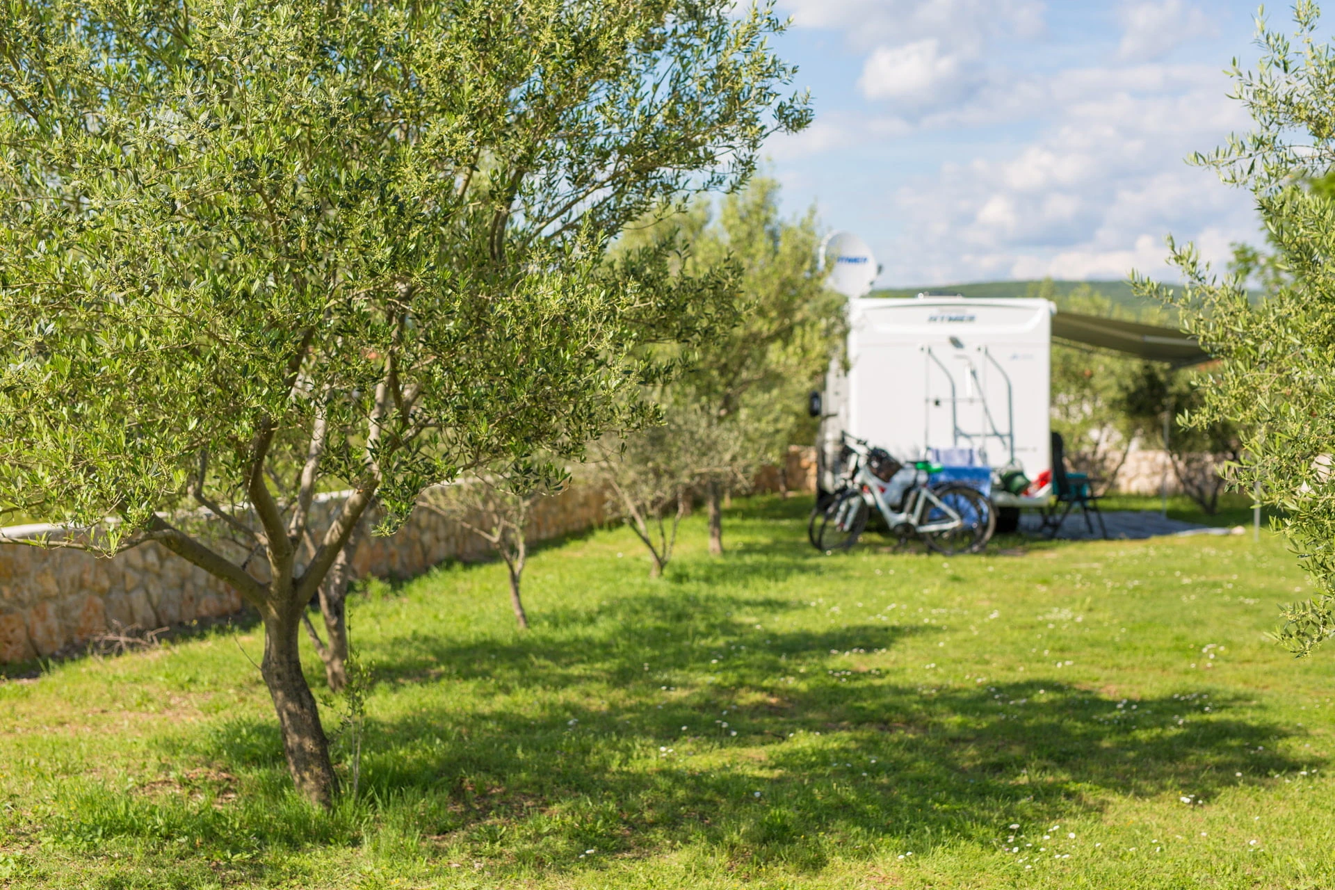Camping Bor — photo 4